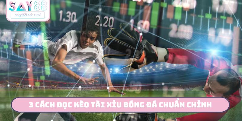 3 cách đọc kèo tài xỉu bóng đá chuẩn chỉnh