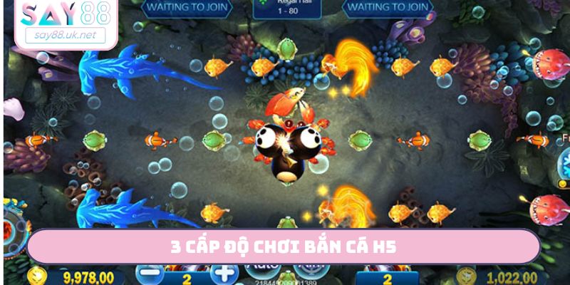 3 cấp độ chơi bắn cá H5