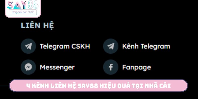 4 kênh liên hệ Say88 hiệu quả tại nhà cái