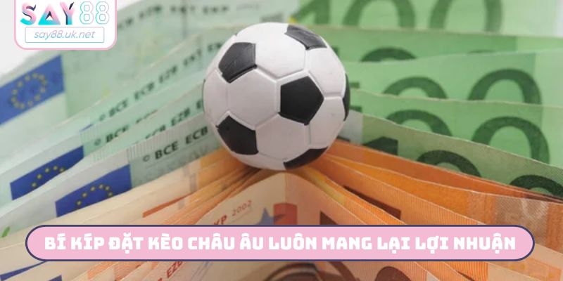 Bí kíp đặt kèo châu Âu luôn mang lại lợi nhuận