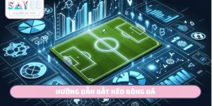 hướng dẫn bắt kèo bóng đá