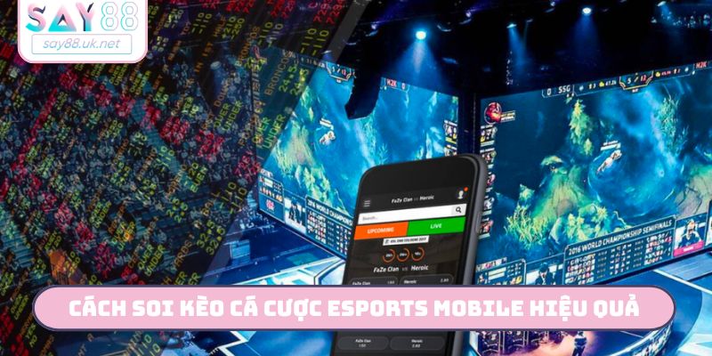 Cách soi kèo cá cược Esports Mobile hiệu quả