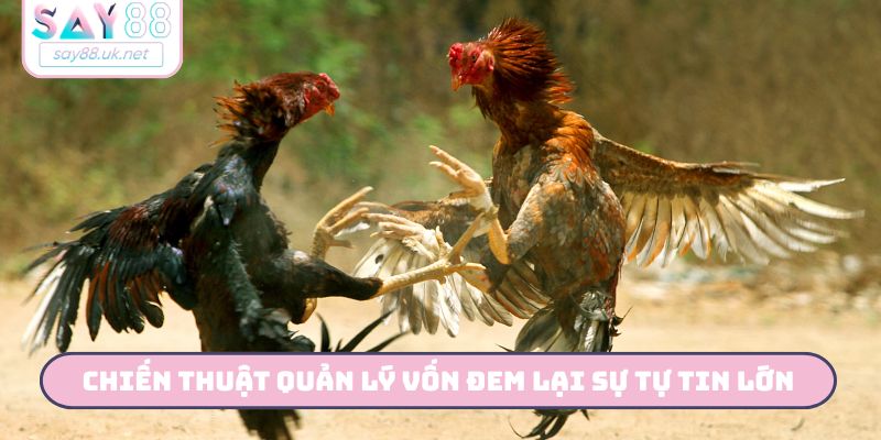 Chiến thuật quản lý vốn đem lại sự tự tin lớn