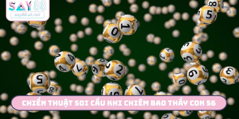 Chiến thuật soi cầu khi chiêm bao thấy con 56
