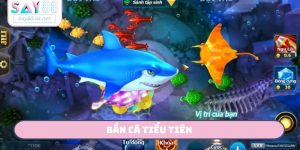 bắn cá tiểu tiên