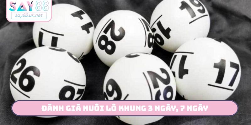 Đánh giá nuôi lô khung 3 ngày, 7 ngày