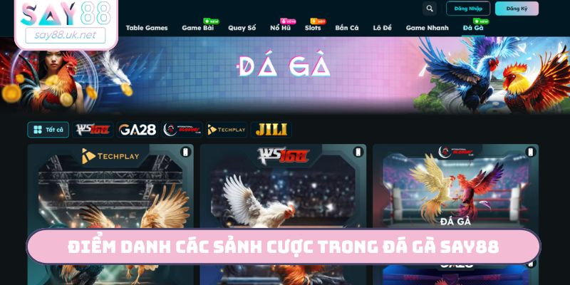 Điểm danh các sảnh cược trong đá gà SAY88