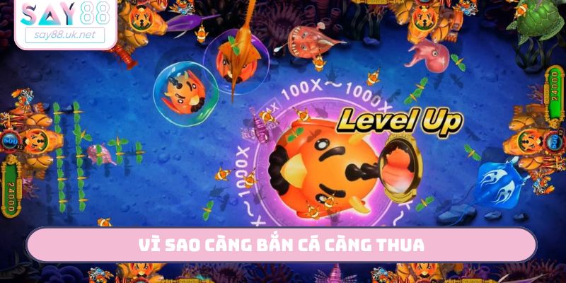 vì sao càng bắn cá càng thua