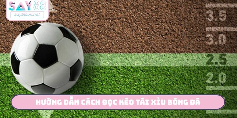 Hướng dẫn cách đọc kèo tài xỉu bóng đá