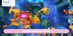 hướng dẫn chọn súng