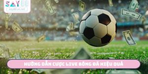hướng dẫn cược live bóng đá hiệu quả