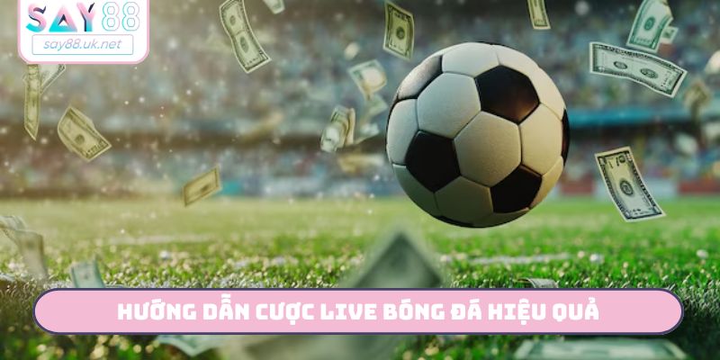 hướng dẫn cược live bóng đá hiệu quả