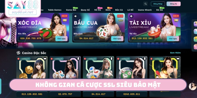 Không gian cá cược SSL siêu bảo mật