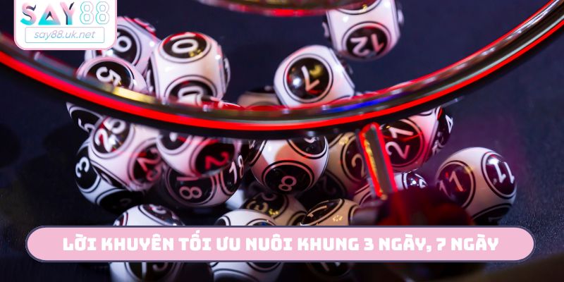 4 lời khuyên tối ưu mẹo đánh lô nuôi khung 3 ngày, 7 ngày