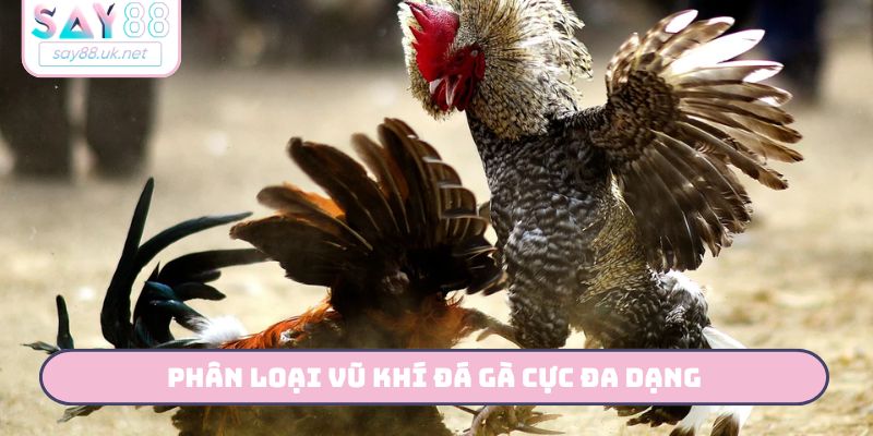 Phân loại vũ khí đá gà cực đa dạng