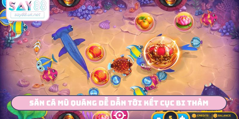 Săn cá mù quáng dễ dẫn tới kết cục bi thảm