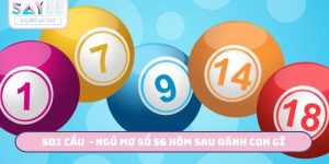 soi cầu - Ngủ mơ số 56 hôm sau đánh con gì