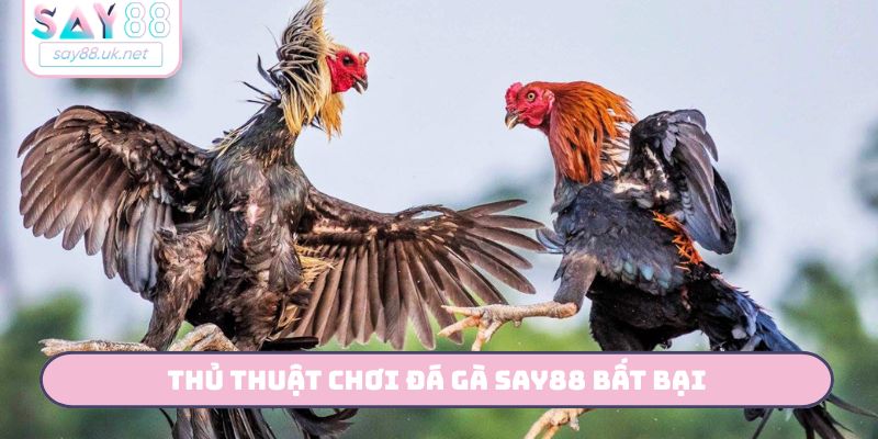 Thủ thuật chơi đá gà SAY88 bất bại