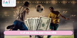 5 Lý Do Khiến Bạn Thua Kèo