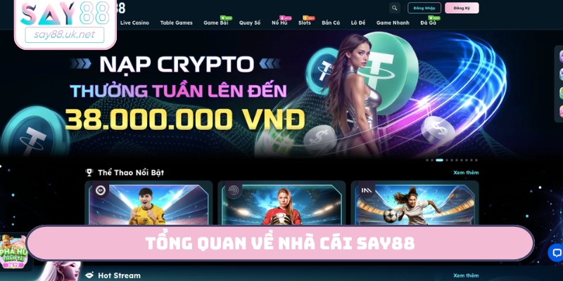 Tổng quan về nhà cái SAY88